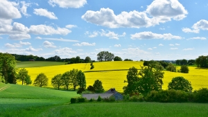 Grünen haben einen neuen Klimafeind entdeckt – die deutschen Landwirte …