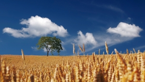 Diskussionen zur „richtigen Ernährung und Landwirtschaft“